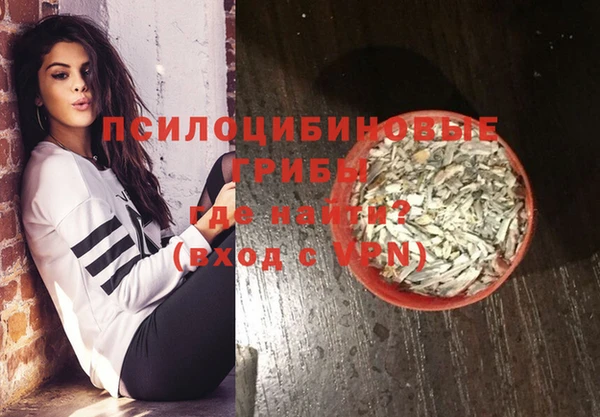 индика Вяземский