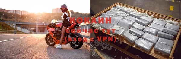 мяу мяу мука Горняк