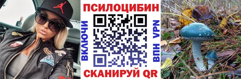 Галлюциногенные грибы Psilocybine cubensis  Нефтеюганск 